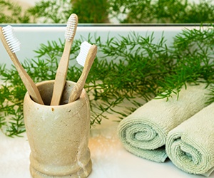 Toothbrushes in holder